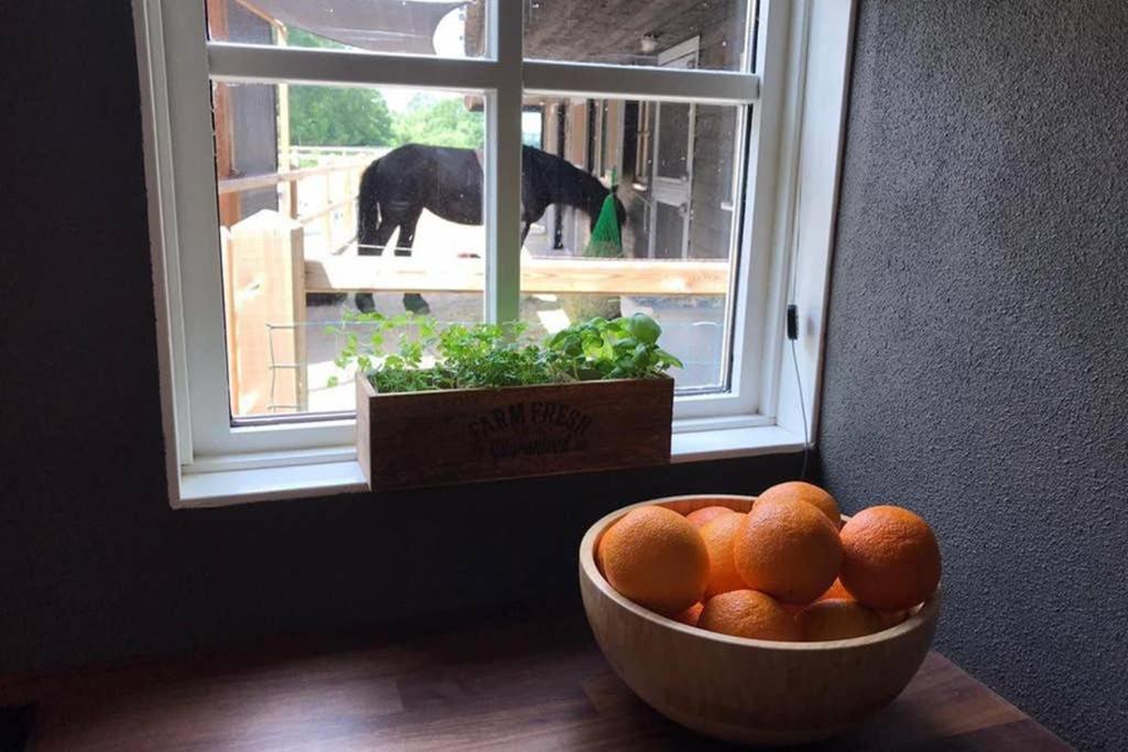 Luxe Natuurhuisje Met Jacuzzi En Haard In Drenthe, Echten Echten  Exterior foto