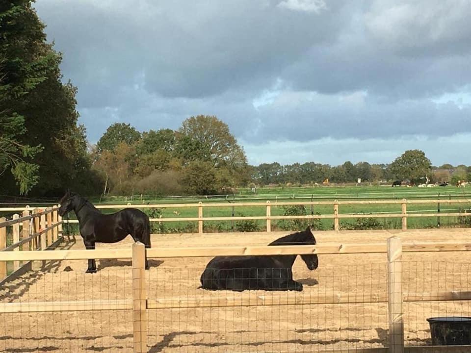 Luxe Natuurhuisje Met Jacuzzi En Haard In Drenthe, Echten Echten  Exterior foto