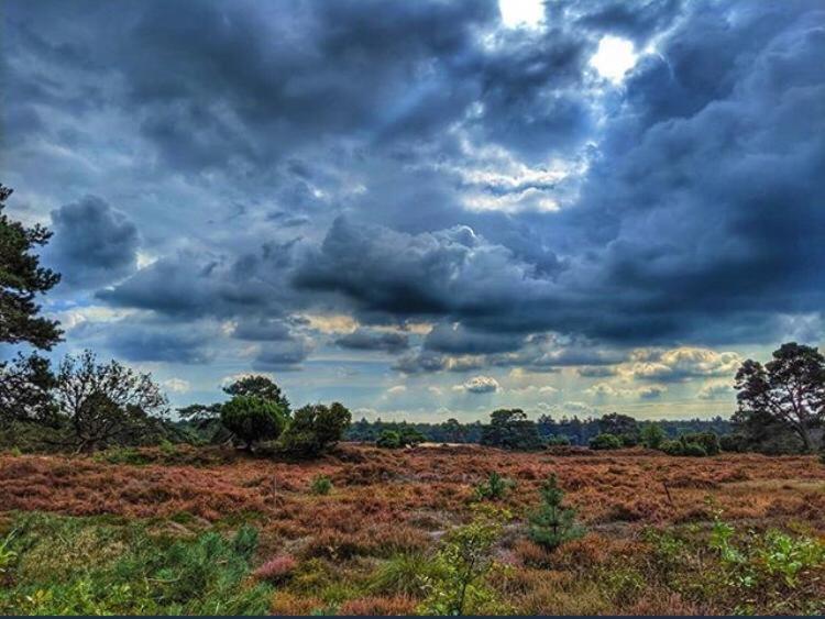 Luxe Natuurhuisje Met Jacuzzi En Haard In Drenthe, Echten Echten  Exterior foto