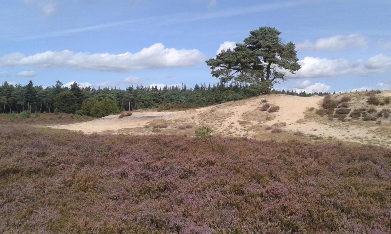 Luxe Natuurhuisje Met Jacuzzi En Haard In Drenthe, Echten Echten  Exterior foto