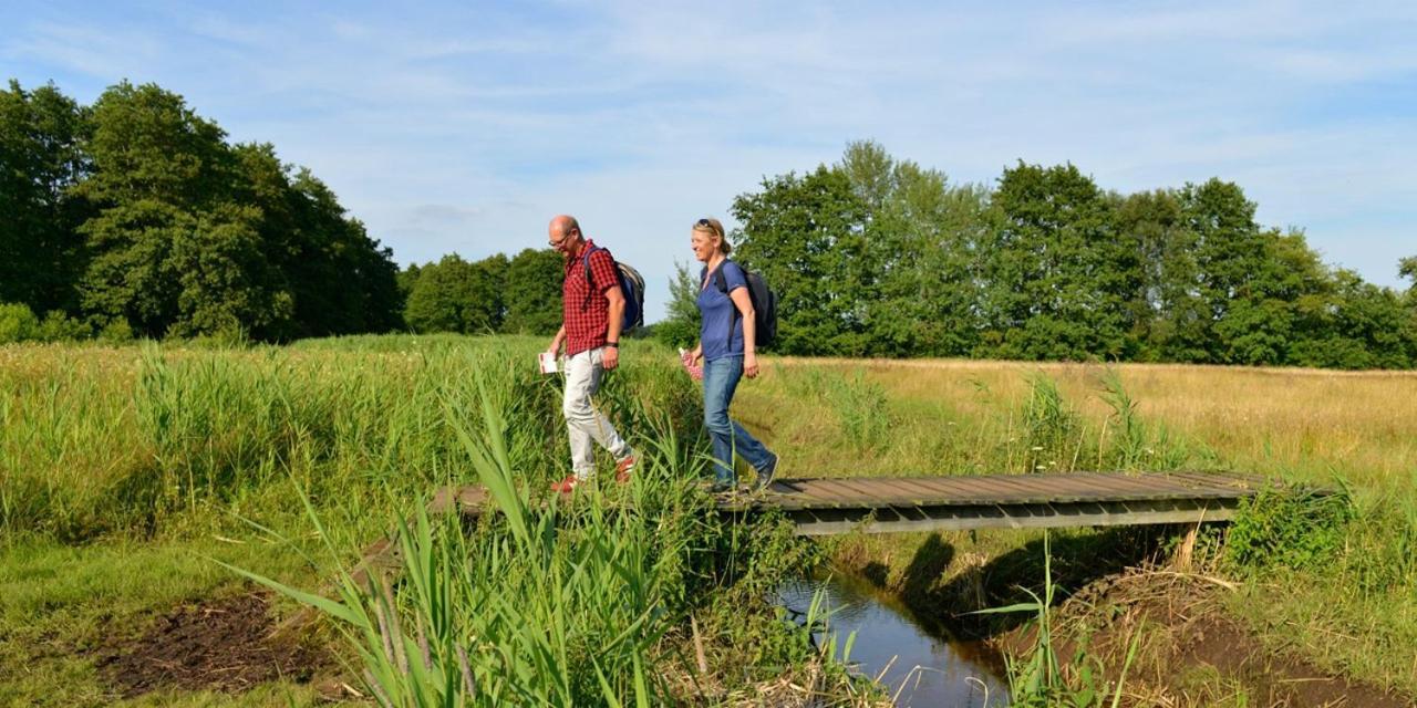 Luxe Natuurhuisje Met Jacuzzi En Haard In Drenthe, Echten Echten  Exterior foto