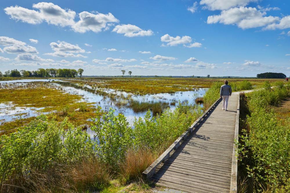 Luxe Natuurhuisje Met Jacuzzi En Haard In Drenthe, Echten Echten  Exterior foto