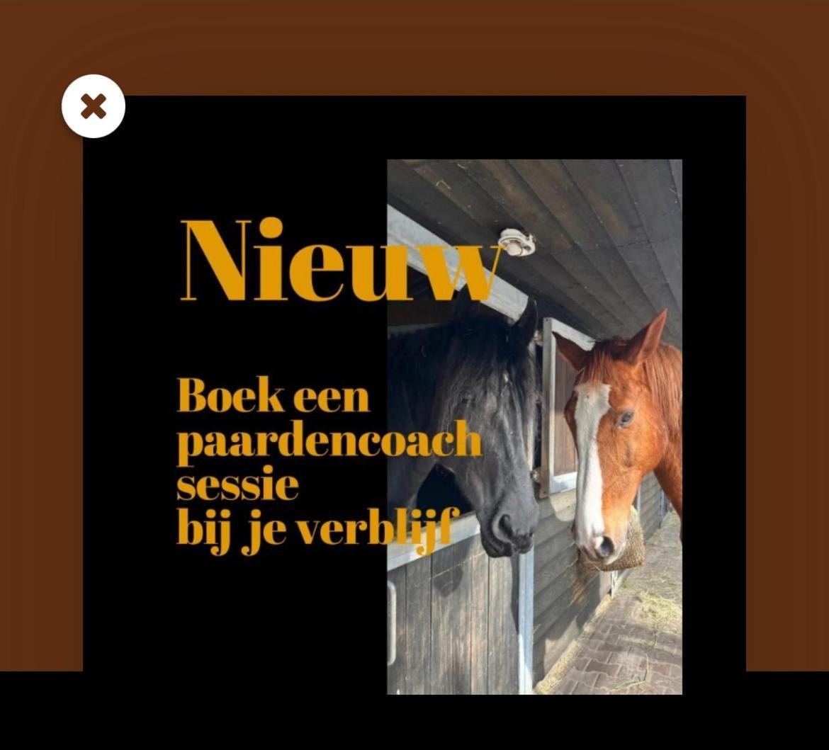 Luxe Natuurhuisje Met Jacuzzi En Haard In Drenthe, Echten Echten  Exterior foto